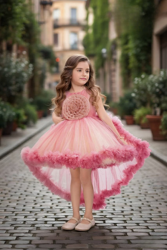 Pastel Pink Feathered Rose Designer Sort Frock