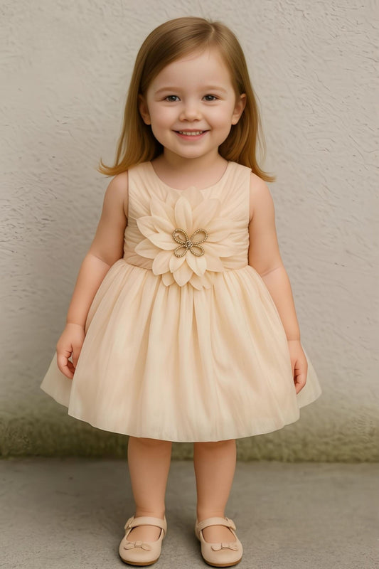 Soft Beige Elegant Flower Princess Frock