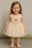 Soft Beige Elegant Flower Princess Frock