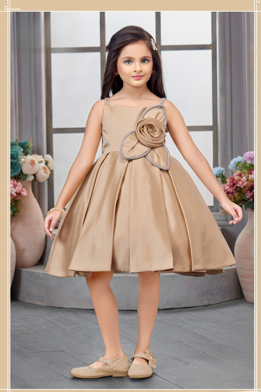 Fone Floral Applique Designer Short Frock