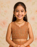 Rust Orange Embroidered Crop Top with Lehenga Set