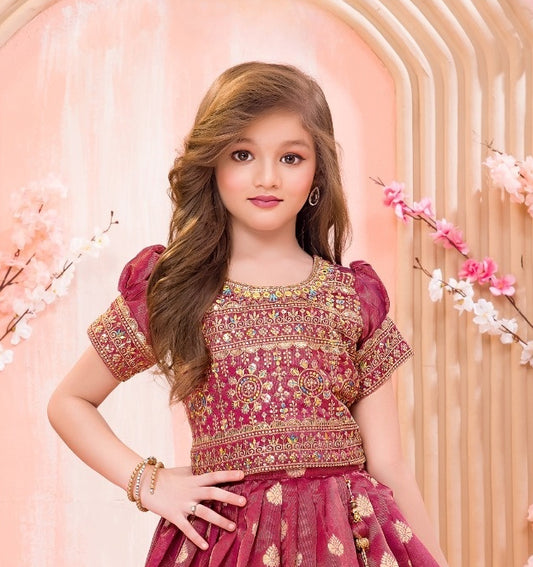 Maroon Banarasi Jacquard Lehenga Choli with Zari Weaving