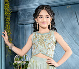 Mint Green Embroidered Lehenga Set