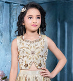 Cream Gold Embroidered Lehenga Set