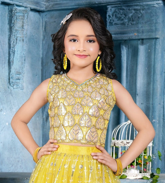 Mustard Yellow Mirror & Threadwork Embroidered Lehenga Set