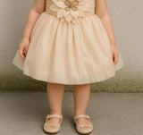 Soft Beige Elegant Flower Princess Frock