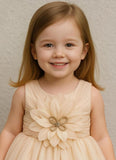 Soft Beige Elegant Flower Princess Frock