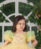 Mint Lemonade Premium Embroidered Ruffle Short Frock