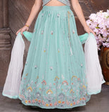 Ferozi Green with Multicolour Thread Embroidered Lehenga Set