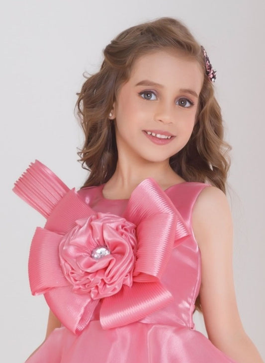 Baby Pink -Layered Petal Long Gown