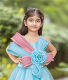 Powder Blue Blush Premium Long Gown