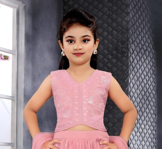 Peach Embroidered Lehenga Choli with Dupatta