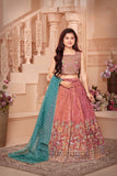Rust Pink - Velvet Embroidered Lehenga with Teal Green Dupatta