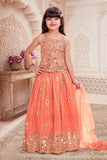 Peach Mirror Embroidered Lehenga Set