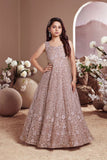 Chikoo Mirage Heavy Embroidered Ball Gown