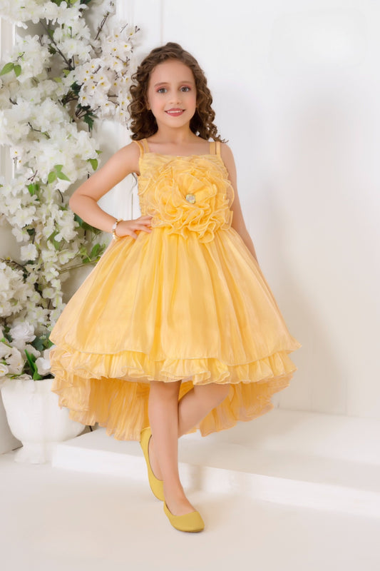 Gold High-Low Layered Princess Dress