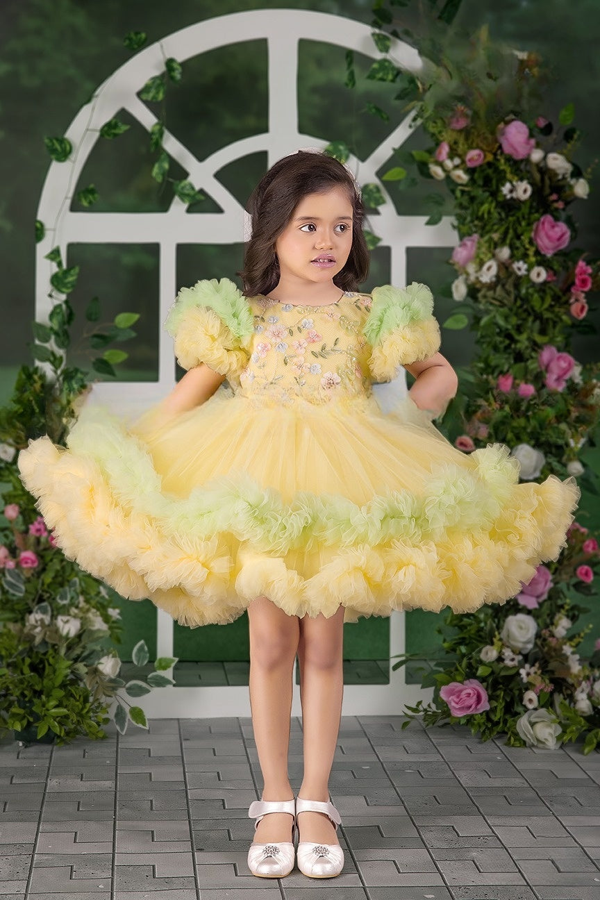 Mint Lemonade Premium Embroidered Ruffle Short Frock