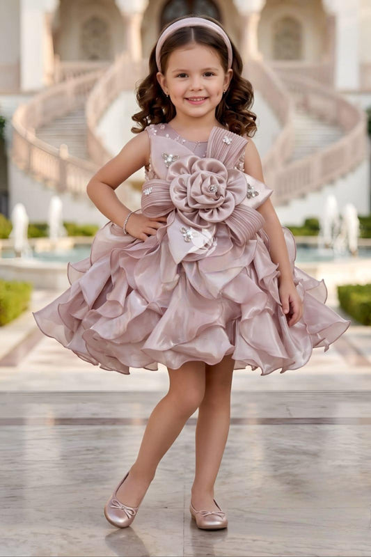 Peach Pink Ruffled Party Dress with 3D Floral Waist Detail | Party Wear For Kids