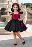 Black Floral Appliqué Fit & Flare Party Dress with Ruffle Sleeves | Party Wear Dress For Kids