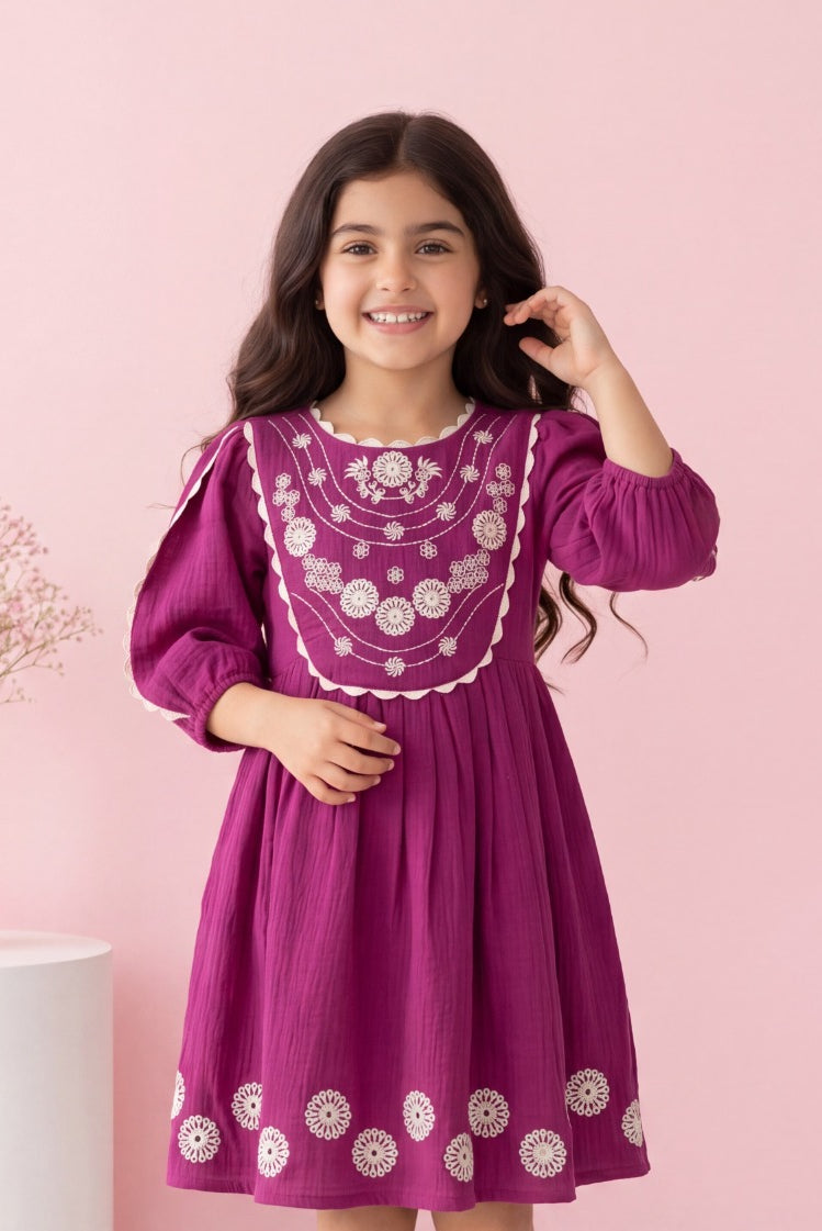Mulberry Embroidered A-Line Dress with Bib Front & Puff Sleeves | Western Wear For Girls