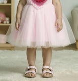 Blush Pink -Dreamy Heart Tulle Baby Short Frock