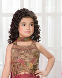 Wine & Antique Gold-Heritage Chic Palazzo Indo Western Set