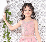 Baby Pink Sequined Floral Embroidered Lehenga Choli Set