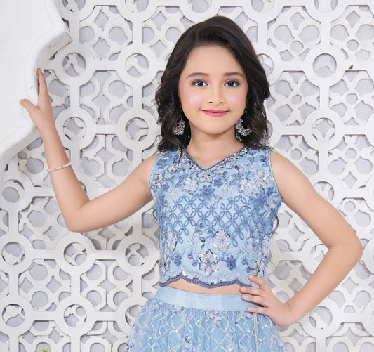 Firozi Sequin Embroidered Lehenga Choli