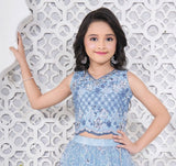 Firozi Sequin Embroidered Lehenga Choli