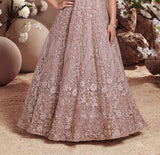 Chikoo Mirage Heavy Embroidered Ball Gown