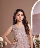 Chikoo Mirage Heavy Embroidered Ball Gown