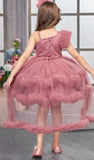 Dusty Rose Sparkle Bodice Layered Tutu Short Frock