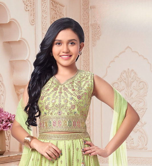 Lime Green Heritage Embroidered Anarkali Gown