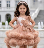 Girls Rose Brown High-Low Ruffle Party Short Frock | Party Wear Dress For Kids