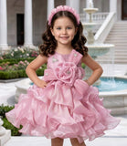 Blush Pink Ruffled Party Dress with Floral Waist Detail |  Party Wear Dress For Girls