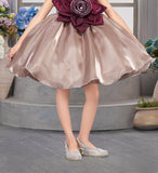 Chikoo Beige Rosette Party Short Frock | Party Wear Kids Dress for Girls